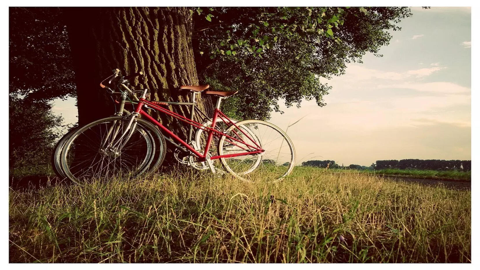 Single Speed Cycle Under 10000 Get Your Heart Racing Under Budget