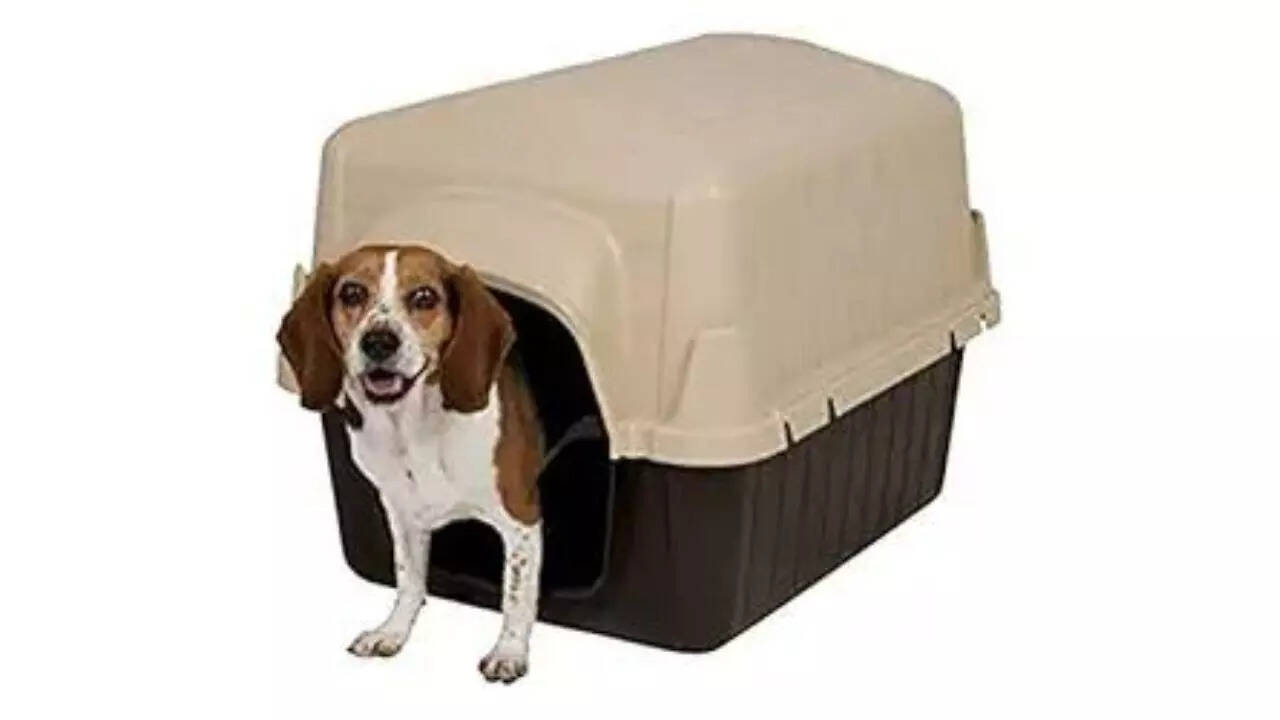 Aspen Pet Petbarn Dog House