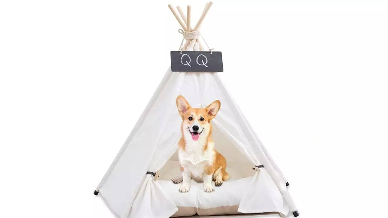 Pet Teepee with Cushion, Dog and Puppy House