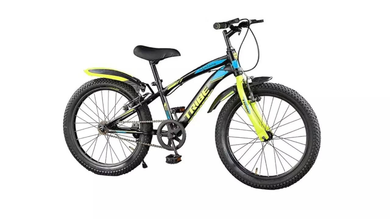 Lifelong LLBC2001 20T Cycle