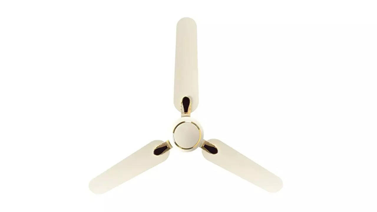Image product (3)