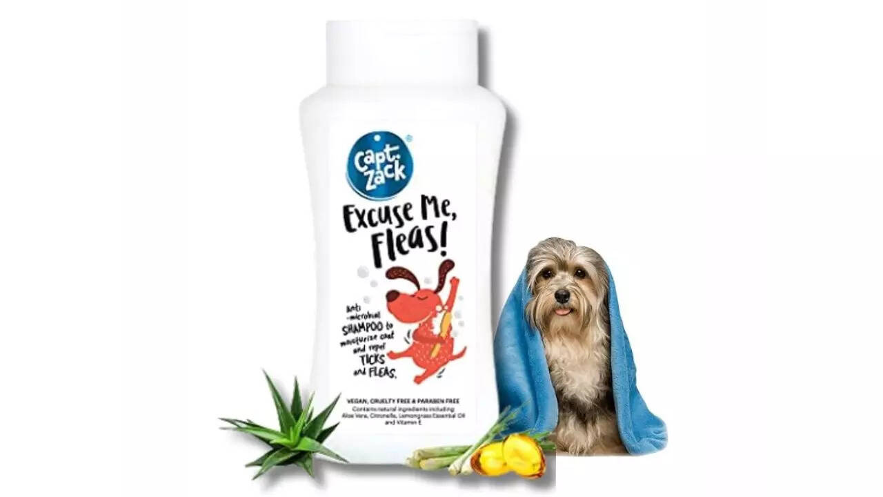 Captain Zack Dog Shampoo