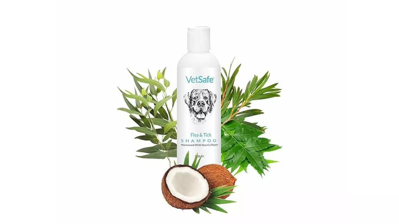 VetSafe Flea and Tick Shampoo
