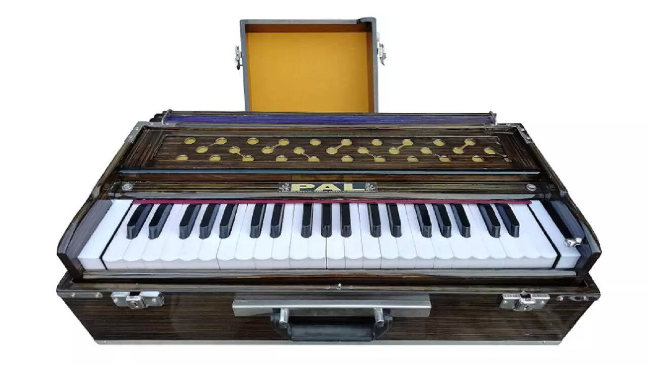 Harmonium Instrument