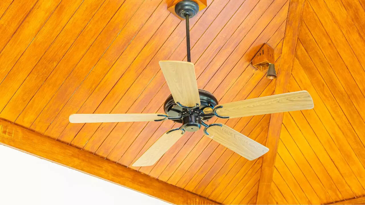 Bajaj Maxima Ceiling Fan