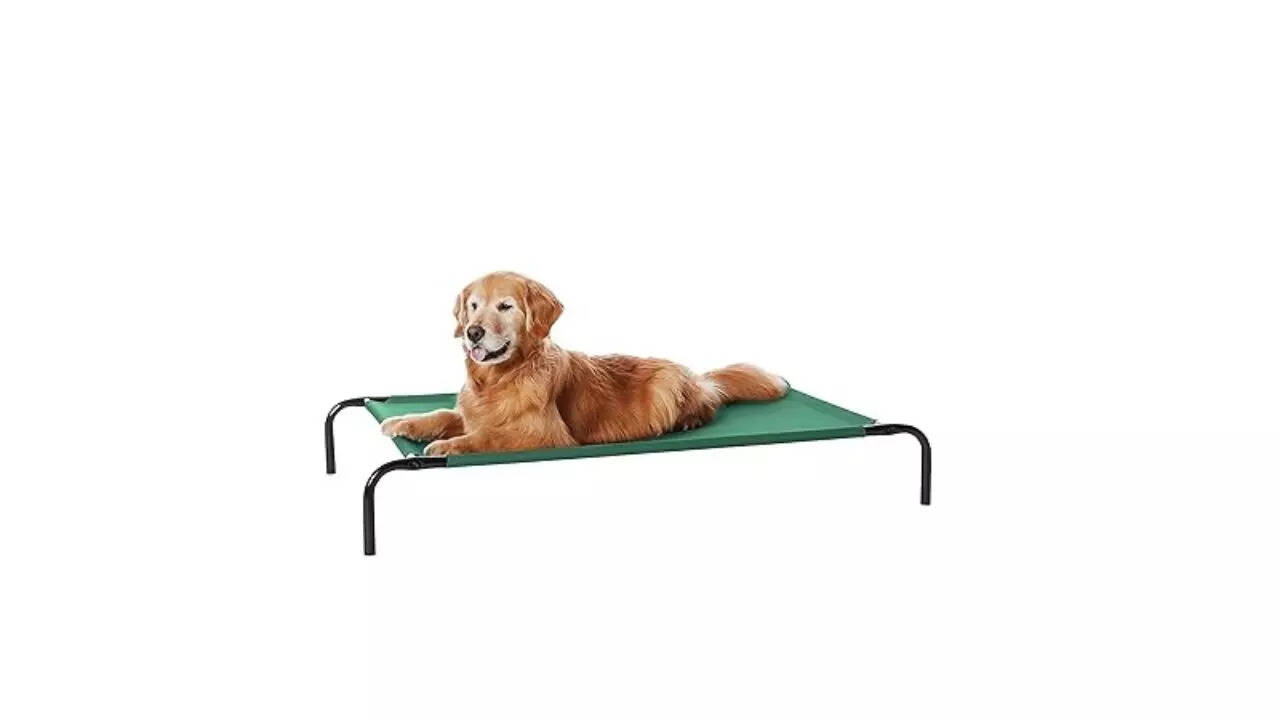 amazon basics Large Elevated Cooling Mesh Fabric Pet Cat Bed