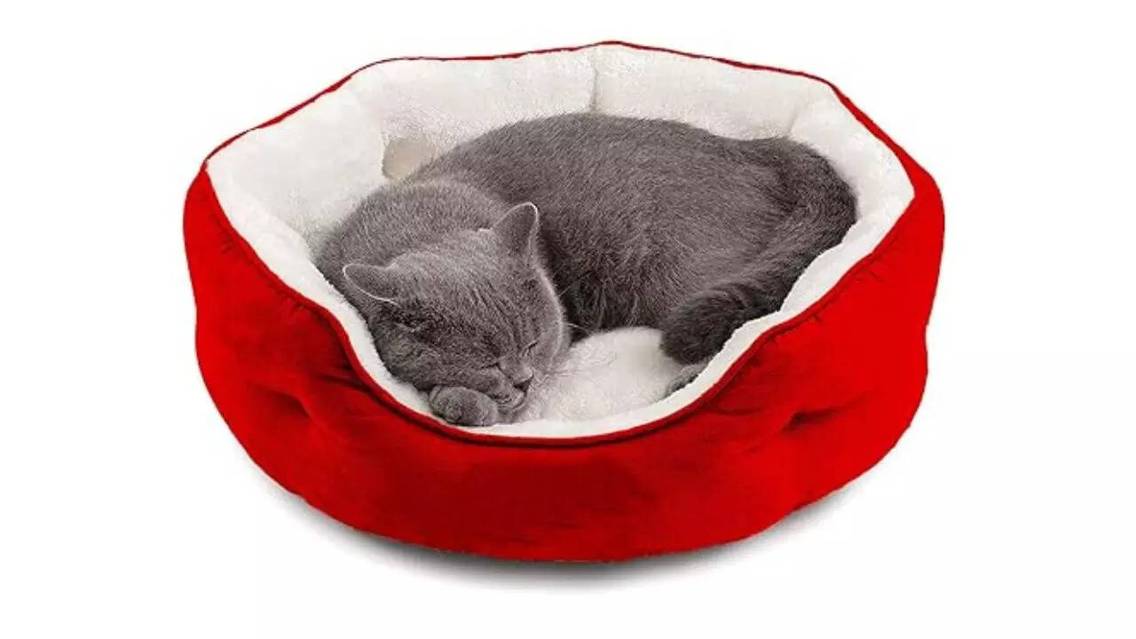 PAWSOME Round Cat Bed