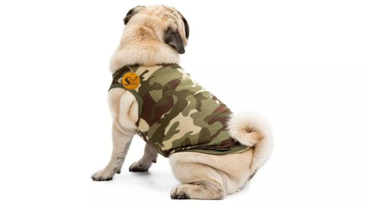 Sage Square Premium Dog Winter