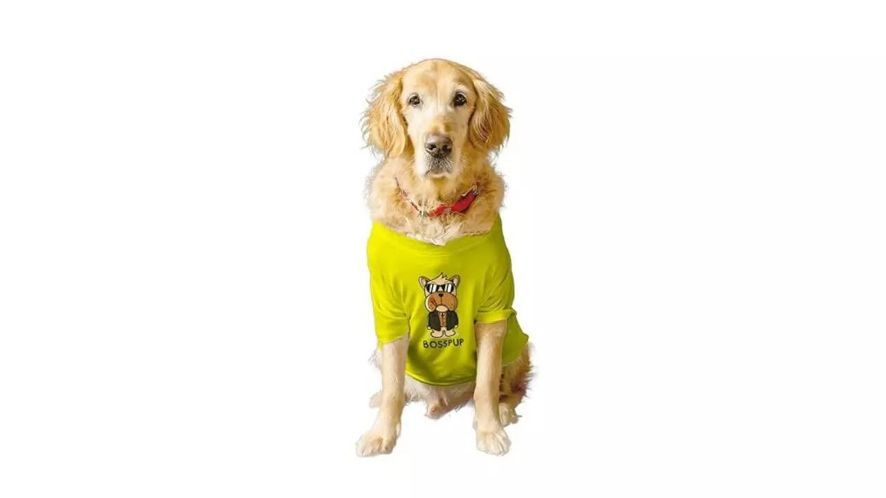 Ruse Basic Summer Dog T-Shirt