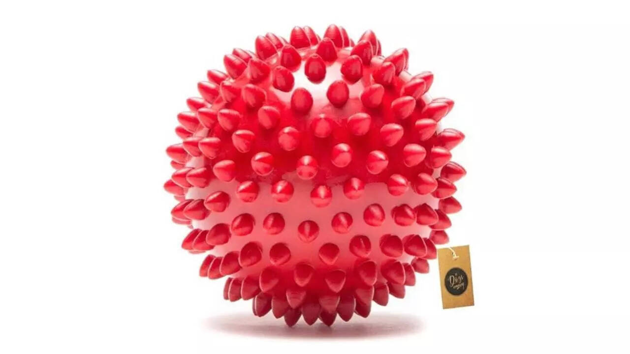 The Dogs Company Natural Rubber Spiked Ball Dog Chew Toy