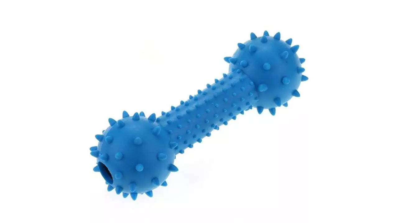 PetVogue Pet Chew Toys Dog Colorful Bouncy Rubber Bone