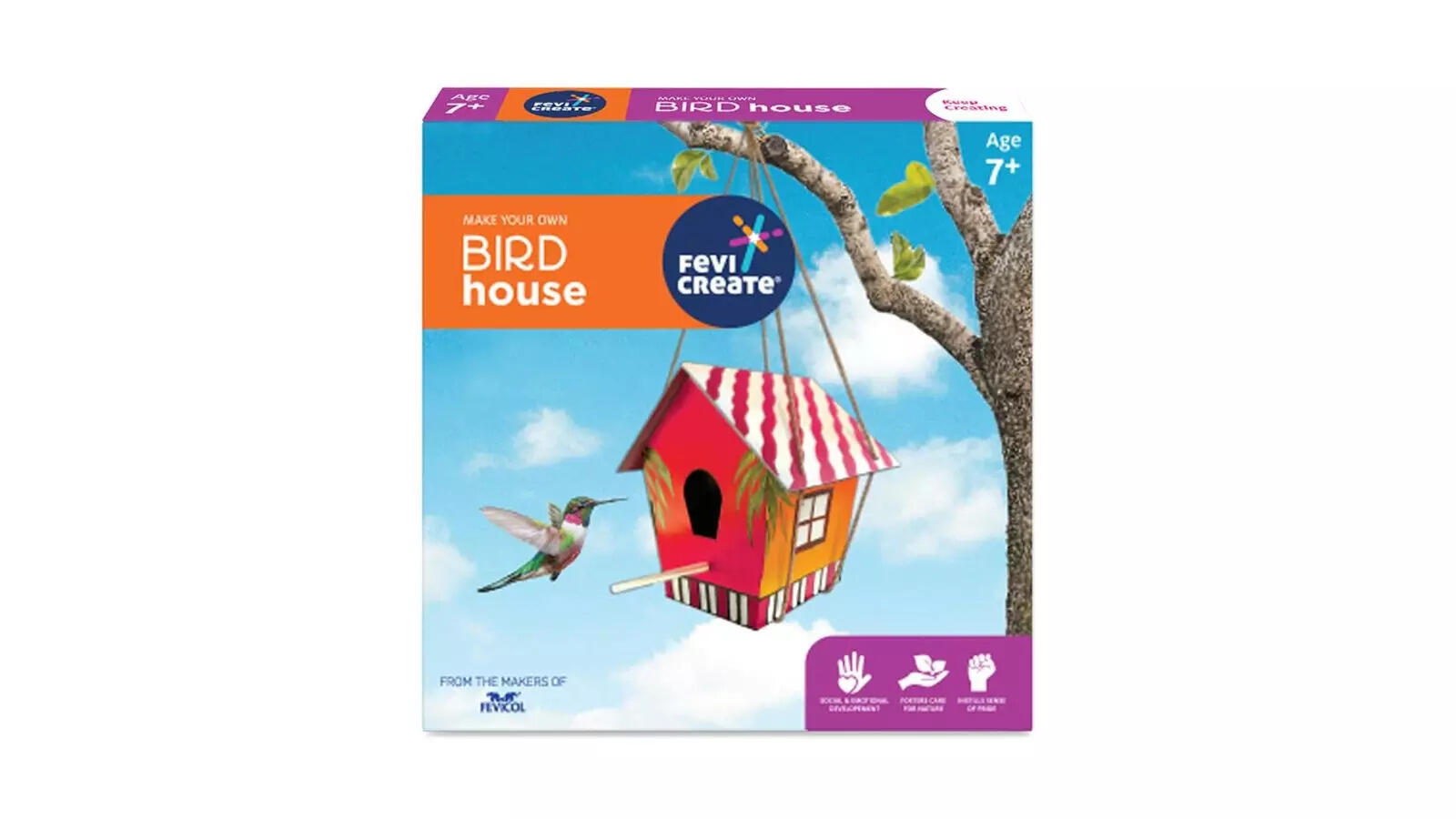 Fevicreate Bird House Art  Craft Kit