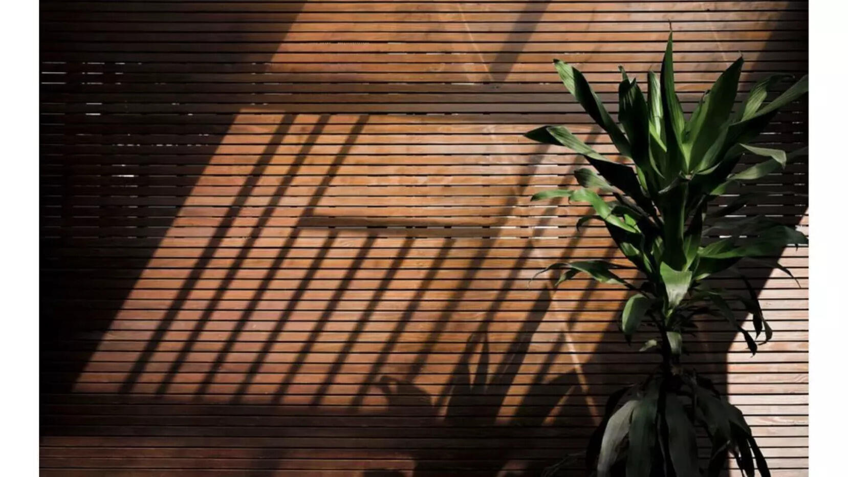 Best Bamboo Curtains for Summers to Make Your Home Eco-Conscious