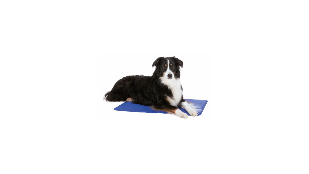 Trixie, Germany Trixie Cooling Mat for Dogs