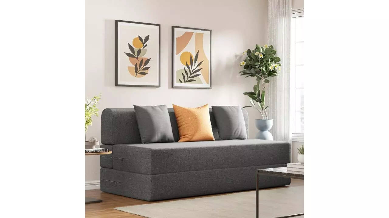 Wakefit Sofa Cum Bed