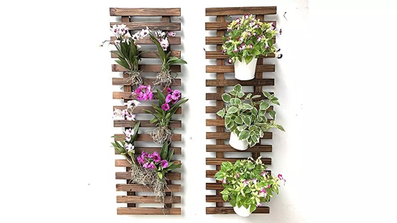The Buy Collection Wall Planter Pine