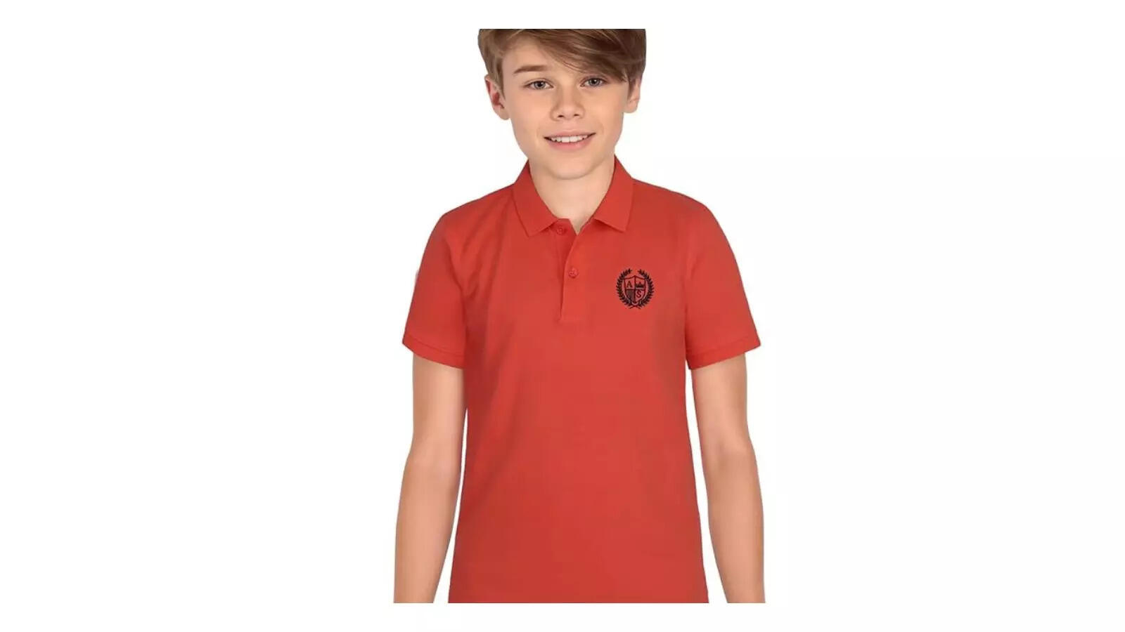 Allen Solly Boys Regular Fit Polo Tshirt