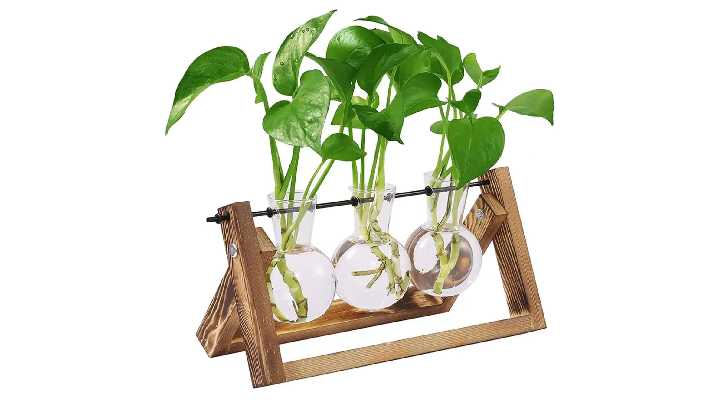 HASTHIP 3Pcs Hydroponics Glass Planter with Wooden Stand