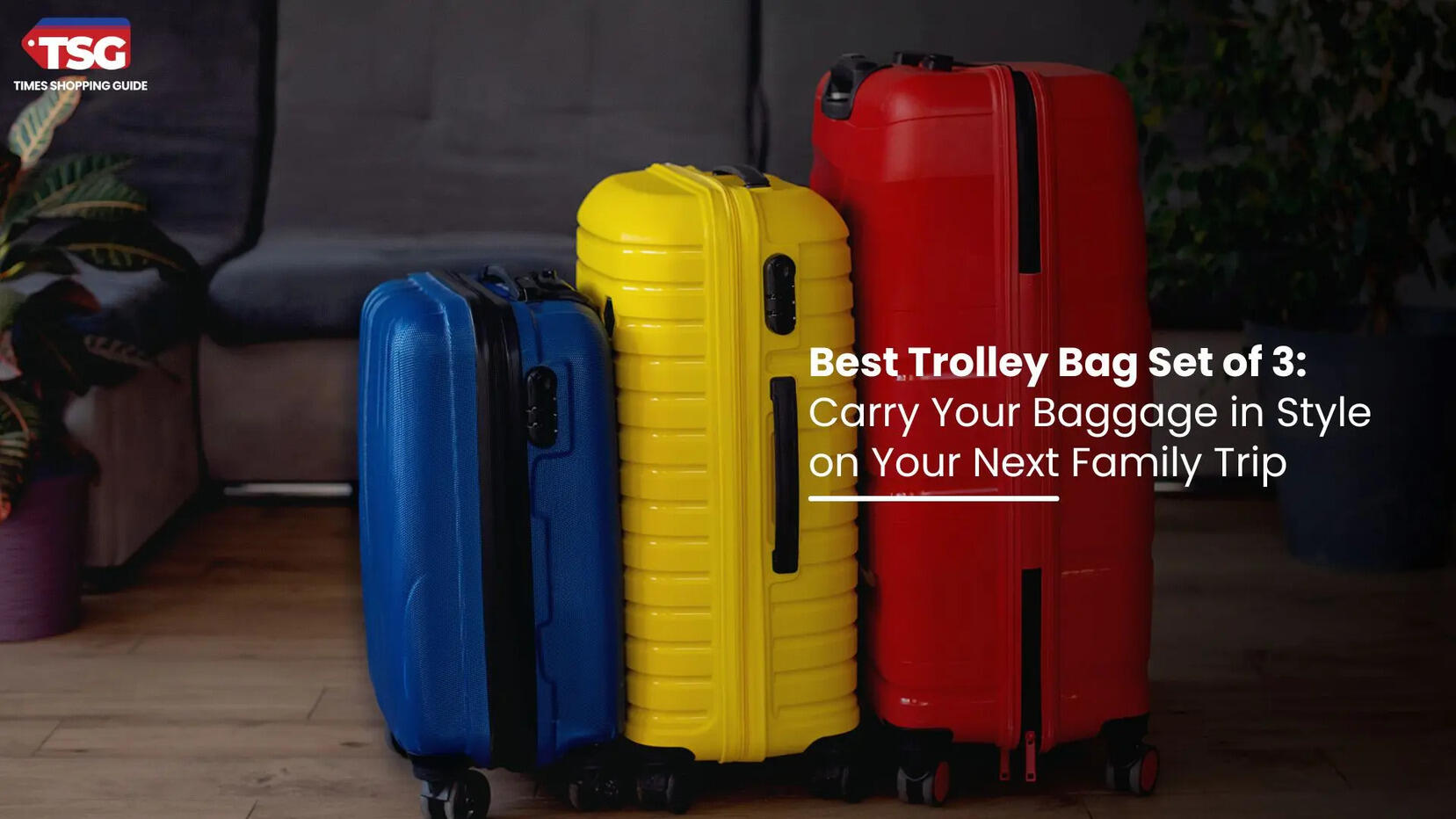 Best Trolley Bag Set of 3 Carry Your Baggage in Style on Your Next Family Trip