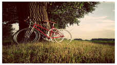Single Speed Cycle Under 10000 Get Your Heart Racing Under Budget