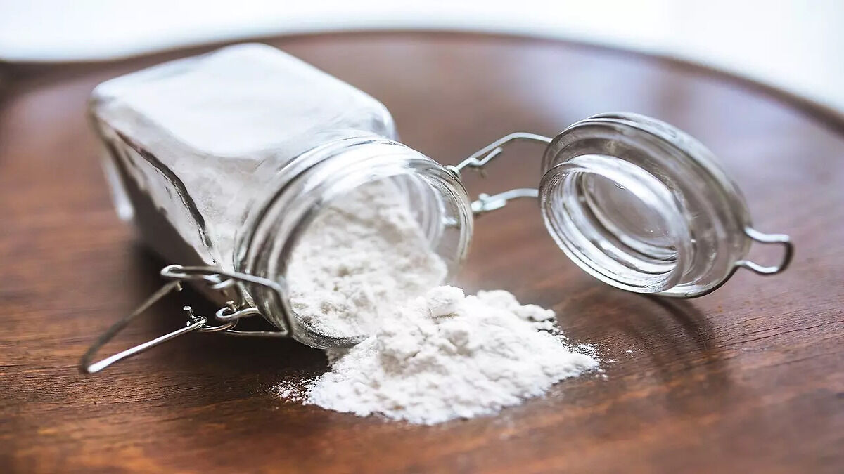 Best Whey Protein Powders