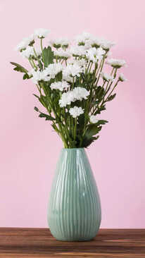 9 Best Flower Vases to add a touch of beauty in your life