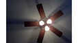 6 Best Ceiling Fans With Lights to Revamp Your House