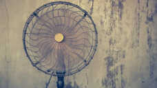 6 Best High-Speed Standing Fans to Beat The Heat This Summer