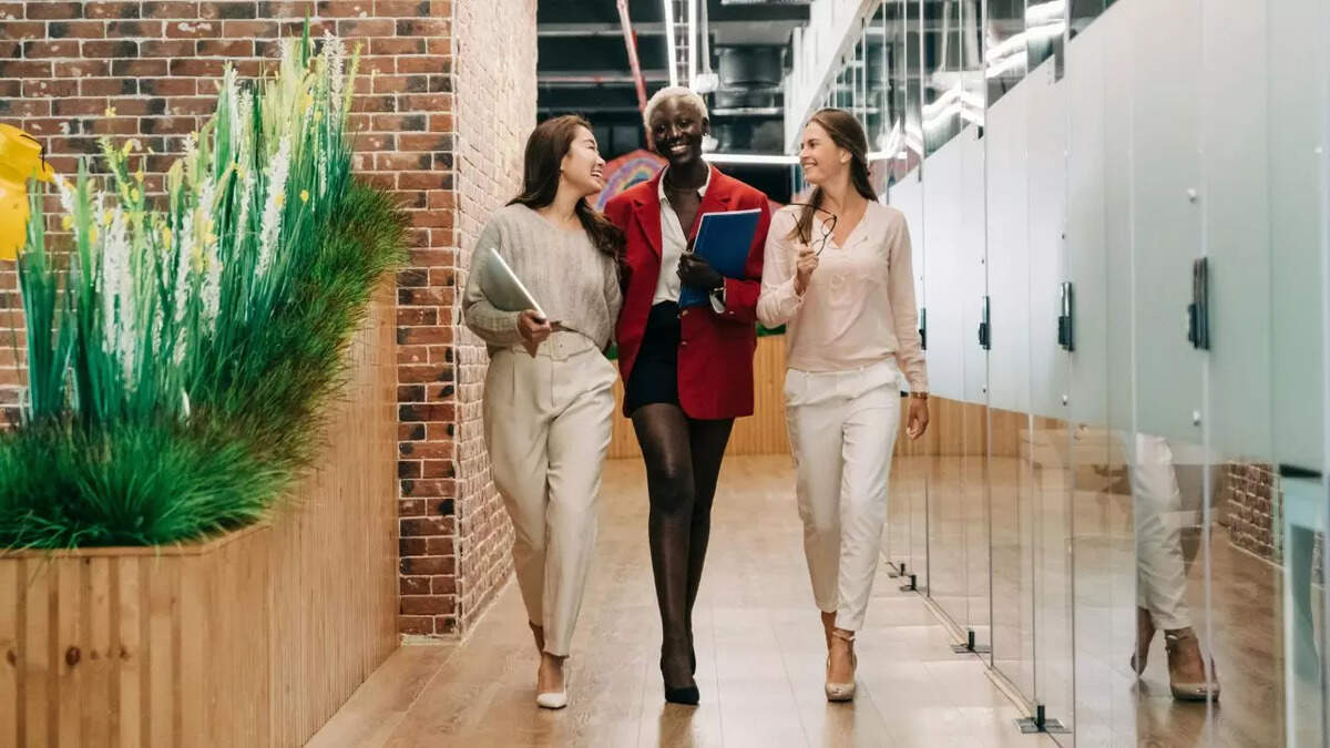 Stylish Formal Pants for Women