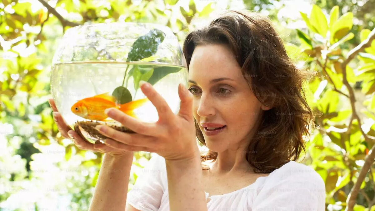 Best fish foods for aquarium