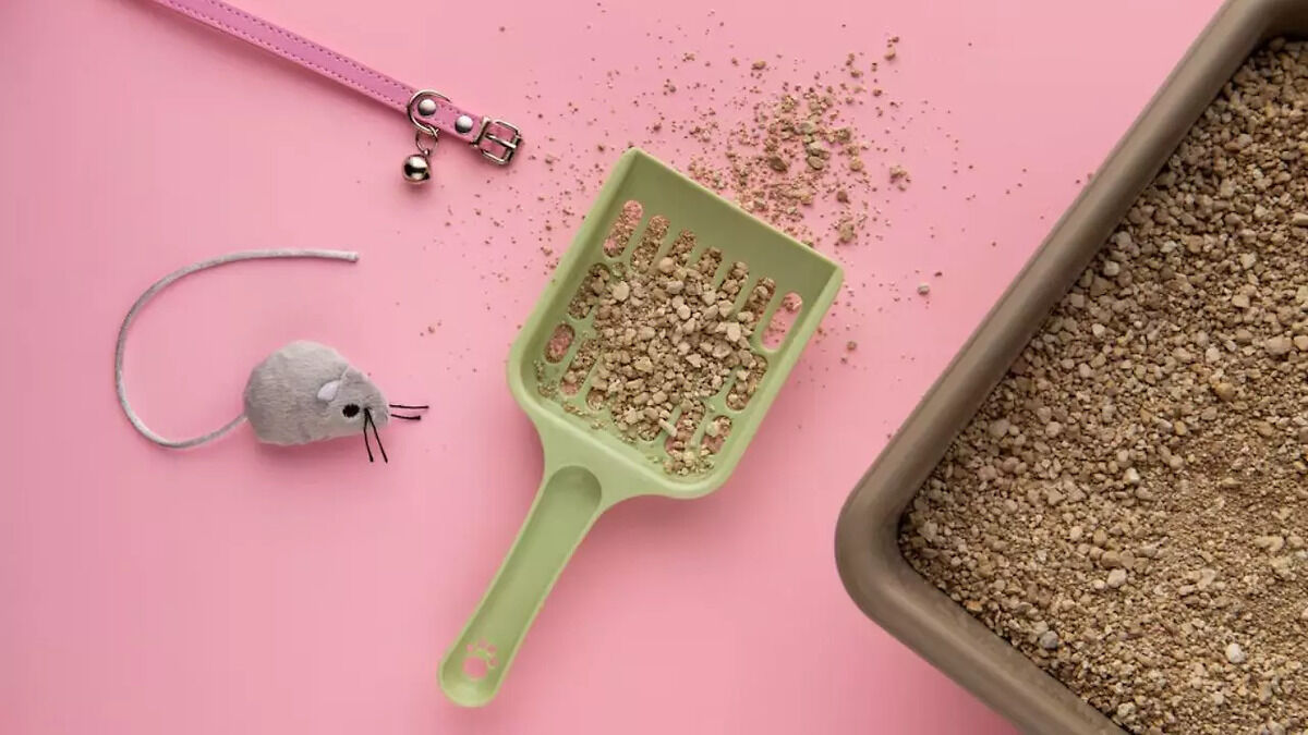 buying-guide-how-to-pick-the-best-cat-litter-mat