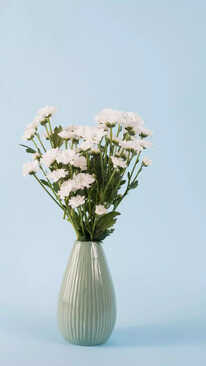 9 Best Vases Under Rs 500 to Beautify Your House