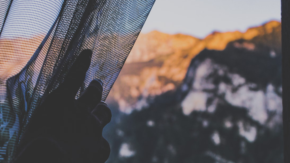 Best Mosquito Net for Peaceful Sleep at Night