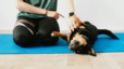Best Cooling Mats for Your Furry Best friend