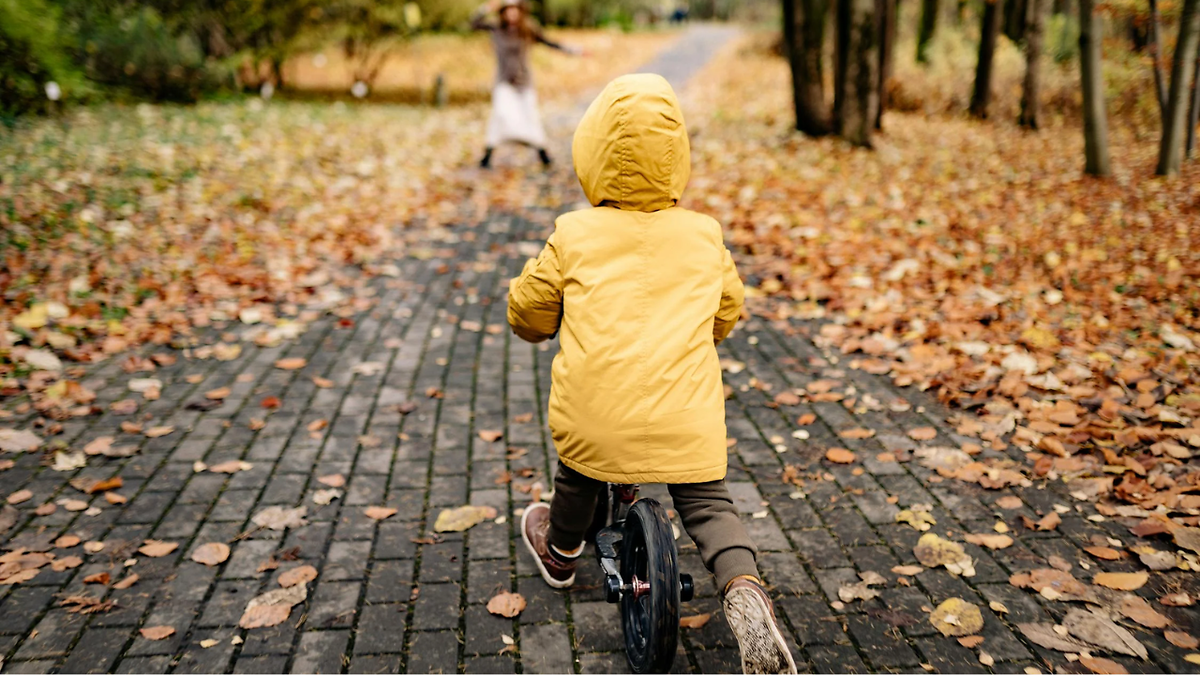 Best Bicycle for Girls Under 5000 for Joy Ride