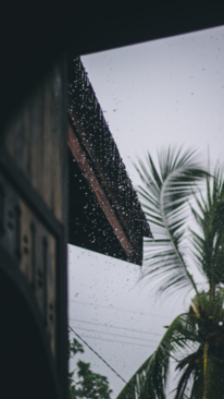 How to Prepare Your Home for Monsoon