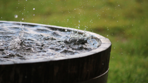 10 Essential Tips to Fight Sickness During Rainy Season