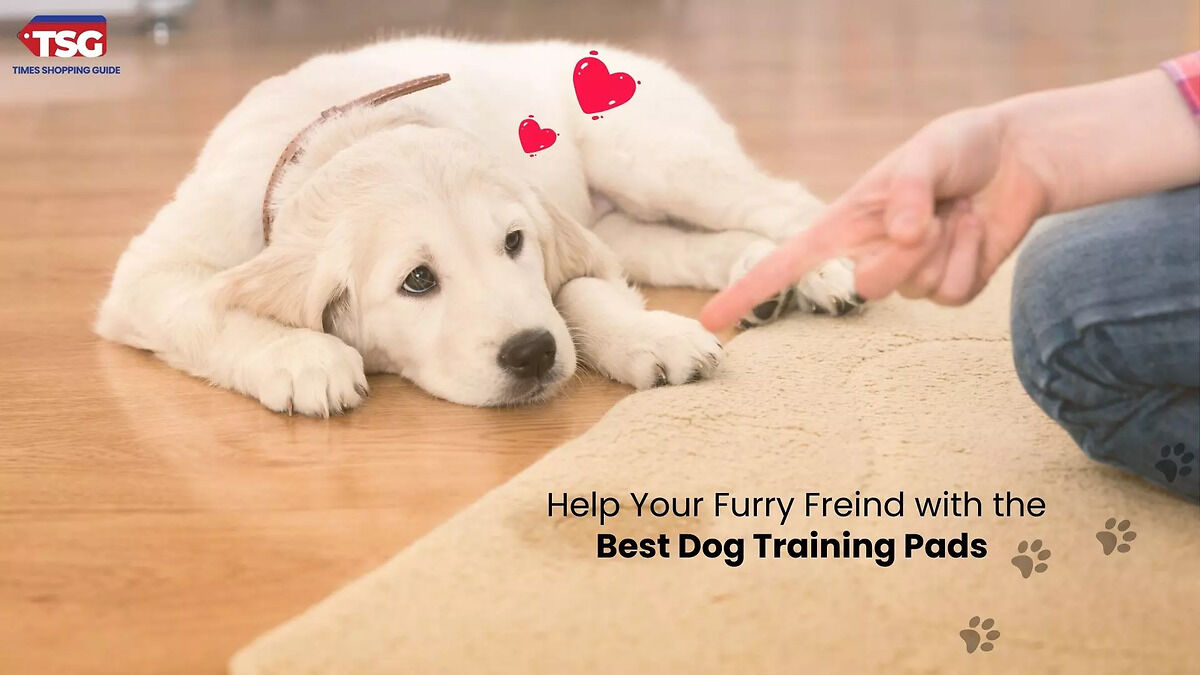 Best Dog Training Pads