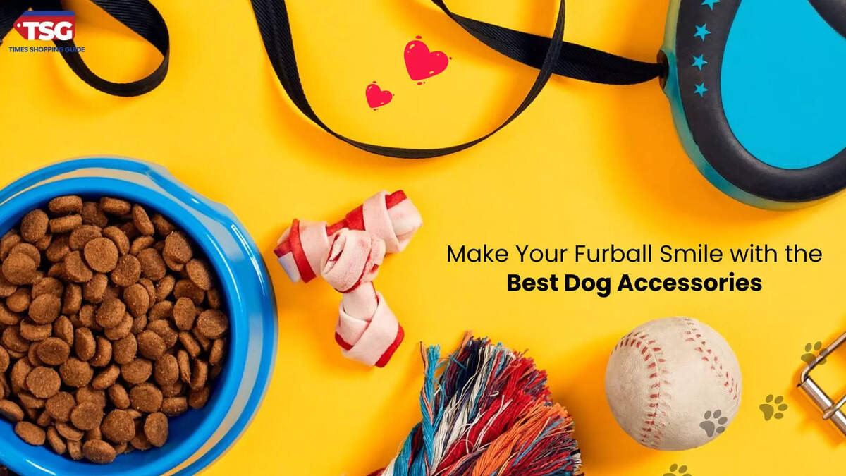 Best Dog Accessories