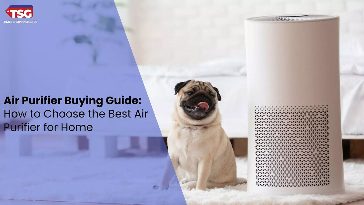 Air Purifier Buying Guide: How to Choose the Best Air Purifier for Home