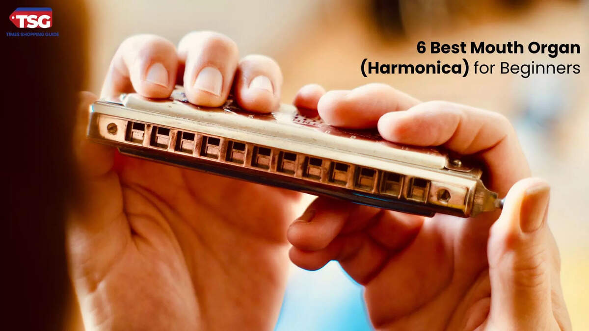 6 Best Mouth Organ (Harmonica) for Beginners