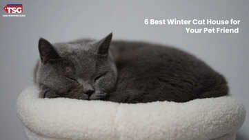 6 Best Winter Cat House for Your Pet Friend