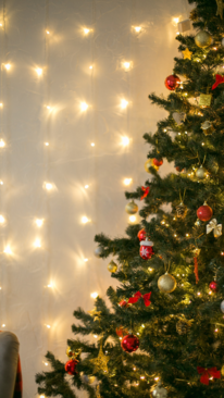 Christmas Wishes Messages and Quotes to Share with Friends and Family