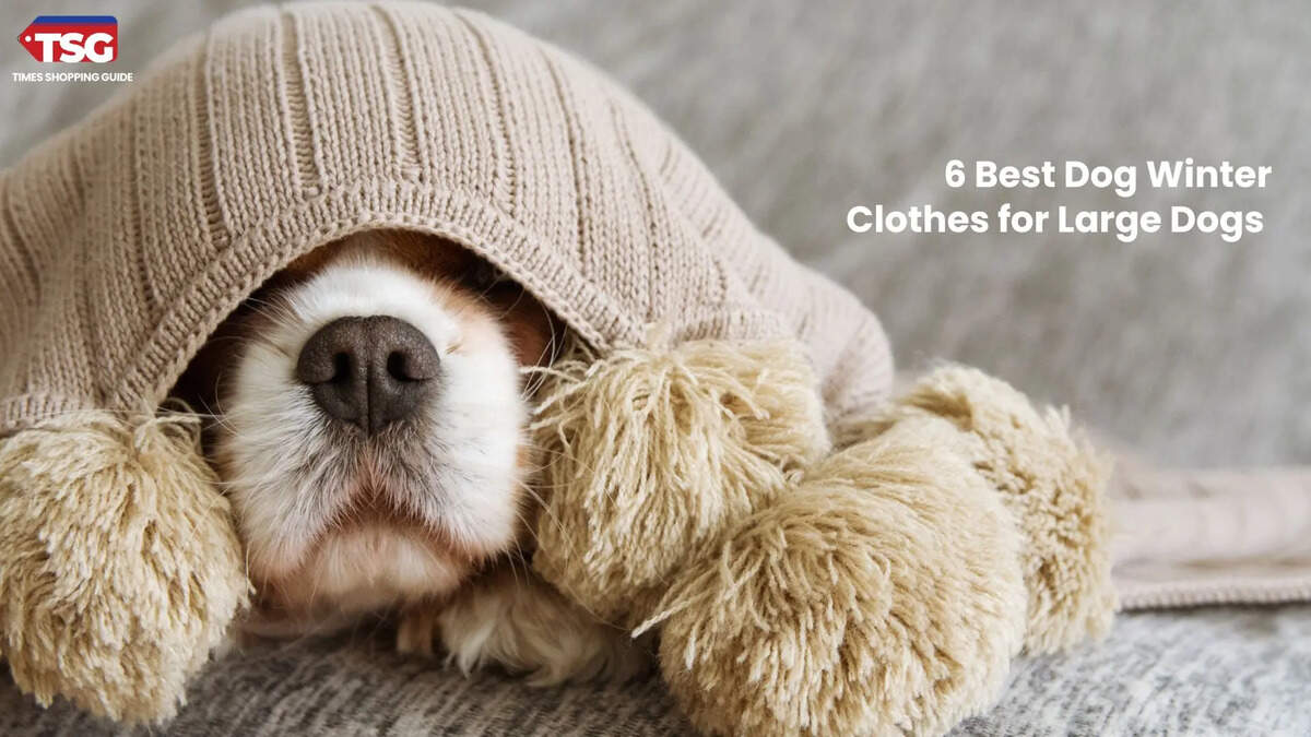 6 Best Dog Winter Clothes_ for Large Dogs