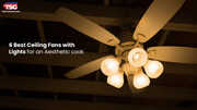 6 Best Ceiling Fans with Lights for an Aesthetic Look