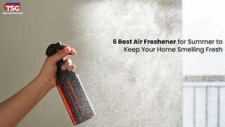 6 Best Air Freshener for Summer to Keep Your Home Smelling Fresh