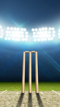 IPL 2025 Live Stadium Kit Things Every Cricket Fan Should Carry